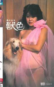 INTFS-004風かおる,亜季いずみ