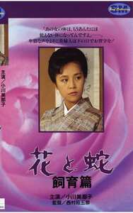 NKT-038 小川美那子,矢生有里,舵川まり子