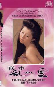 NKT-226碧川ジュン,山科ゆり,宮下順子