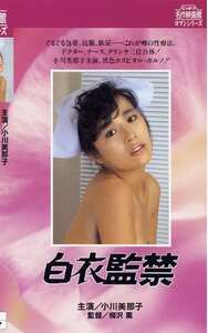 NKT-262 小川美那子,彰佳響子,風見玲香,岸川夏子
