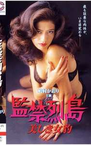 VS-004嶋村かおり,五十嵐佳子,根岸里朱