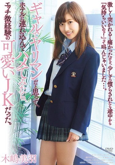 APAA-334木岛美羽