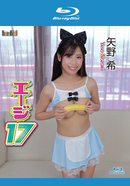 KIDM-1147B矢野 希
