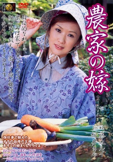 DSE-381藤木琉衣,