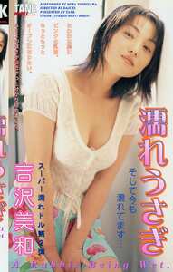 KT-308 吉沢美和